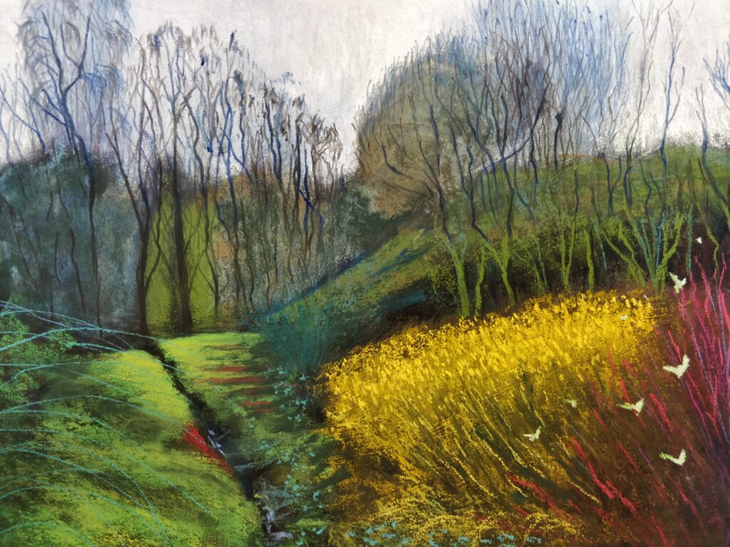 Barlborough Grasses